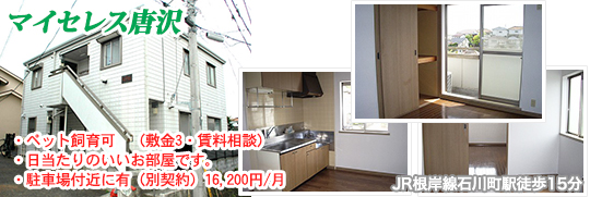 マイセレス唐沢